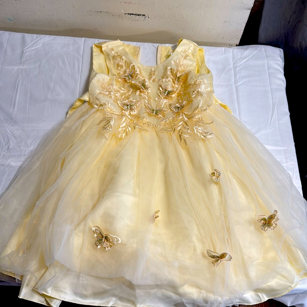 Beautiful Princess Cake Dress